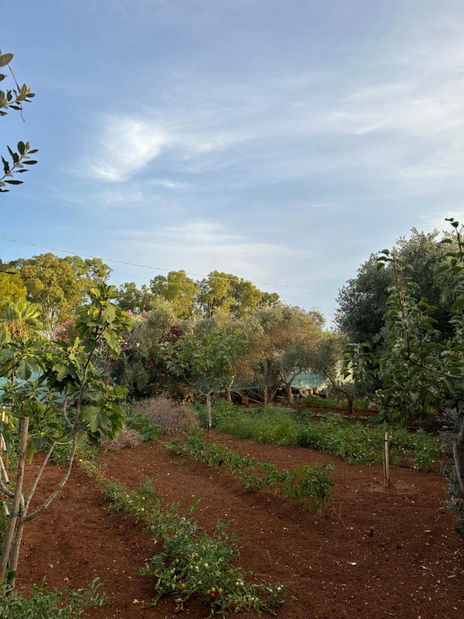 Villa Matino Torre Squillace Exterior photo