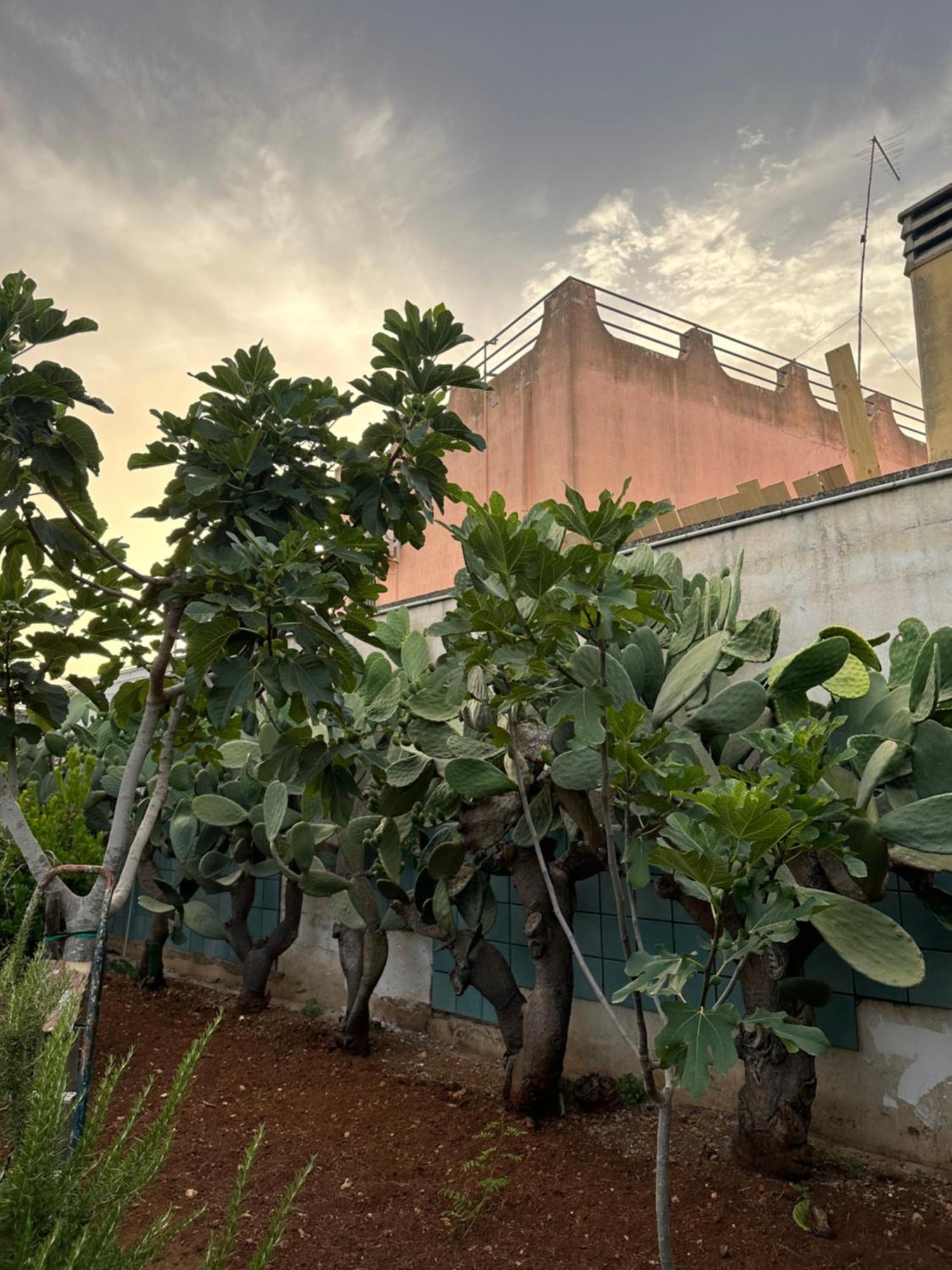 Villa Matino Torre Squillace Exterior photo