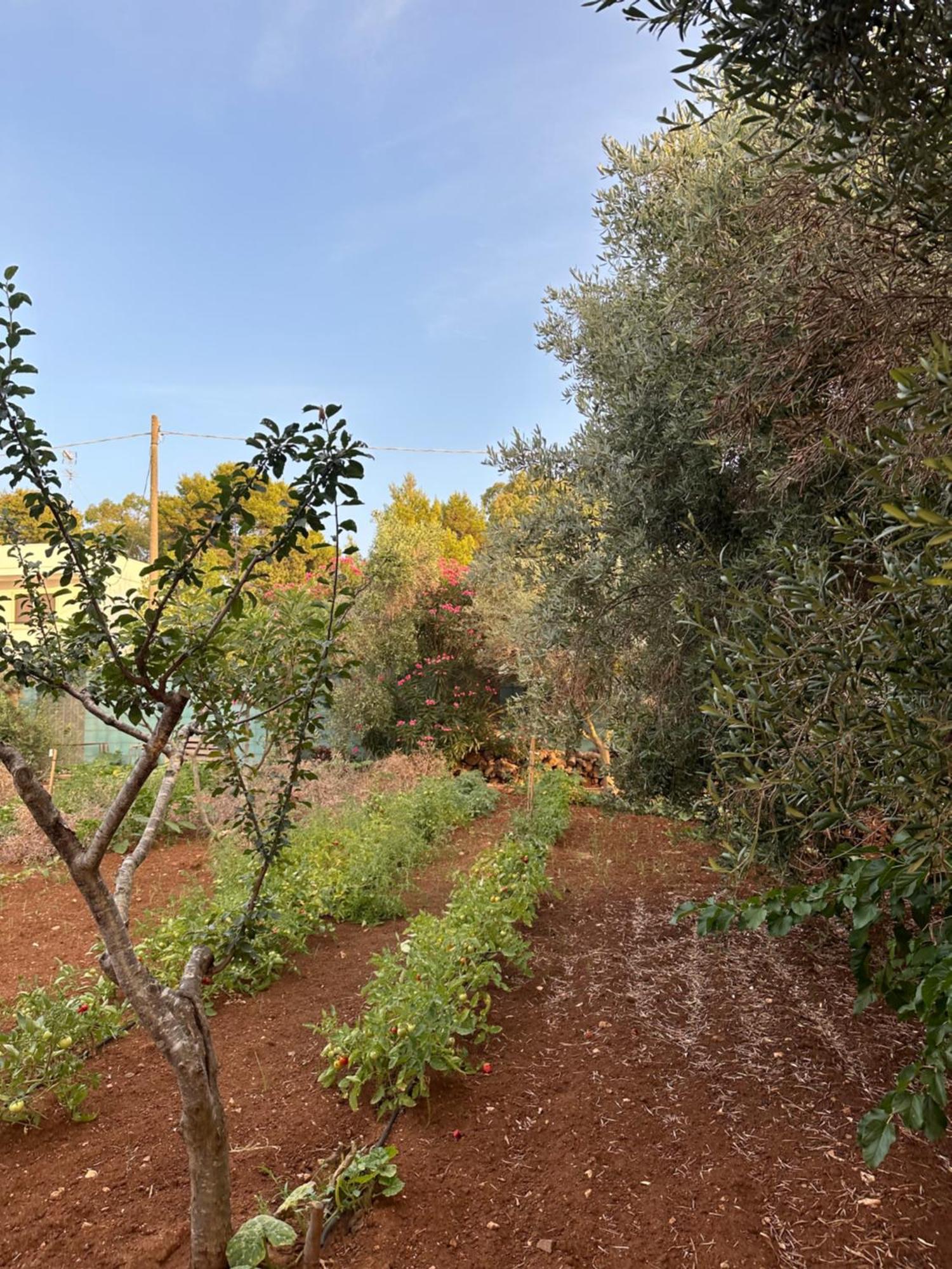 Villa Matino Torre Squillace Exterior photo